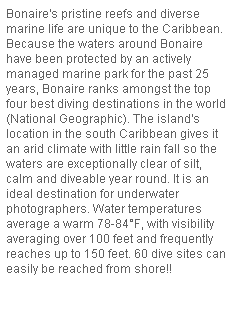 Text Box: Bonaire's pristine reefs and diverse marine life are unique to the Caribbean. Because the waters around Bonaire have been protected by an actively managed marine park for the past 25 years, Bonaire ranks amongst the top four best diving destinations in the world (National Geographic). The island's location in the south Caribbean gives it an arid climate with little rain fall so the waters are exceptionally clear of silt, calm and diveable year round. It is an ideal destination for underwater photographers. Water temperatures average a warm 78-84�F, with visibility averaging over 100 feet and frequently reaches up to 150 feet. 60 dive sites can easily be reached from shore!!
