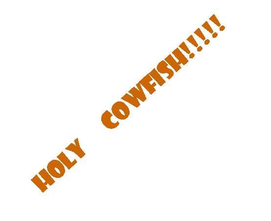 Text Box: HOLY COWFISH!!!!!