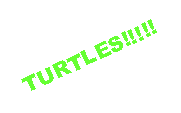 Text Box: TURTLES!!!!!