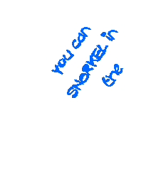 Text Box: You can SNORKEL in the 